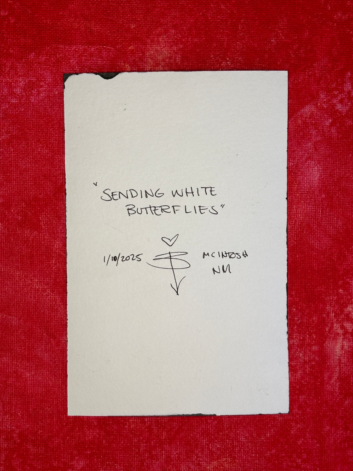 &quot;Sending White Butterflies&quot;