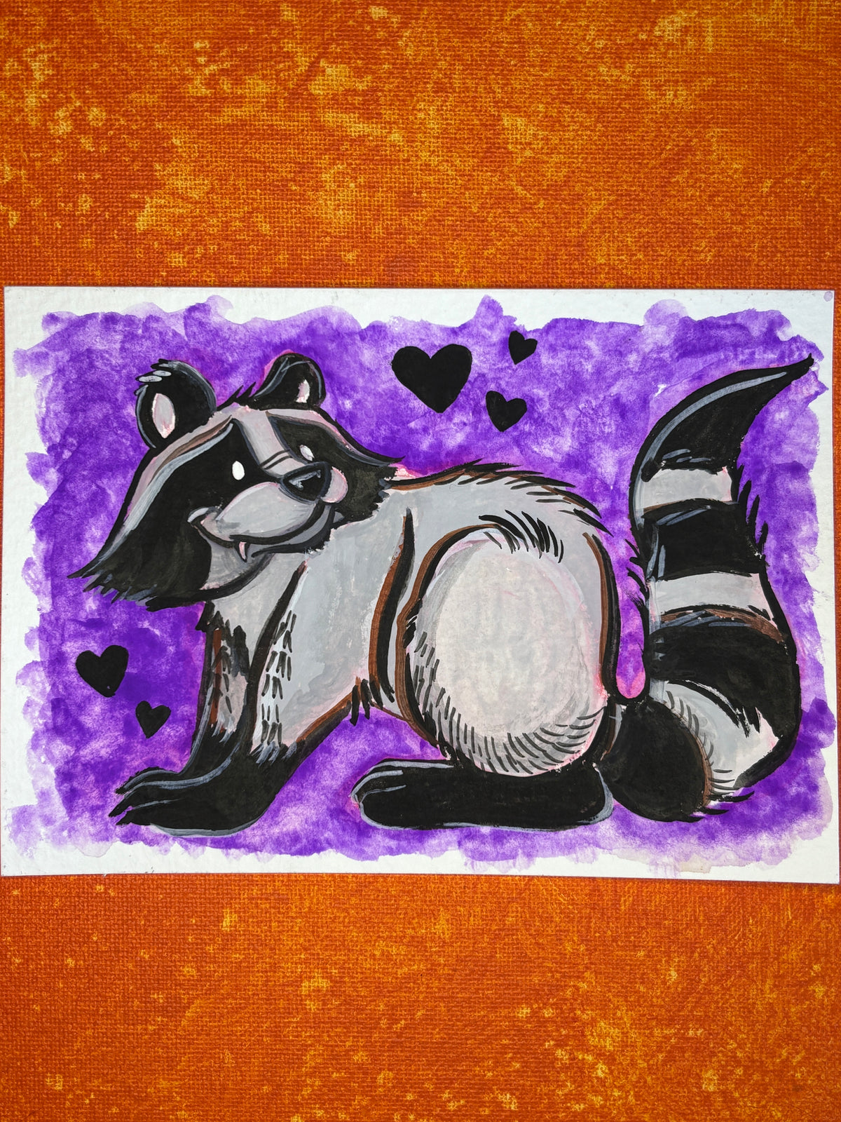 &quot;Raccoon Medicine&quot;