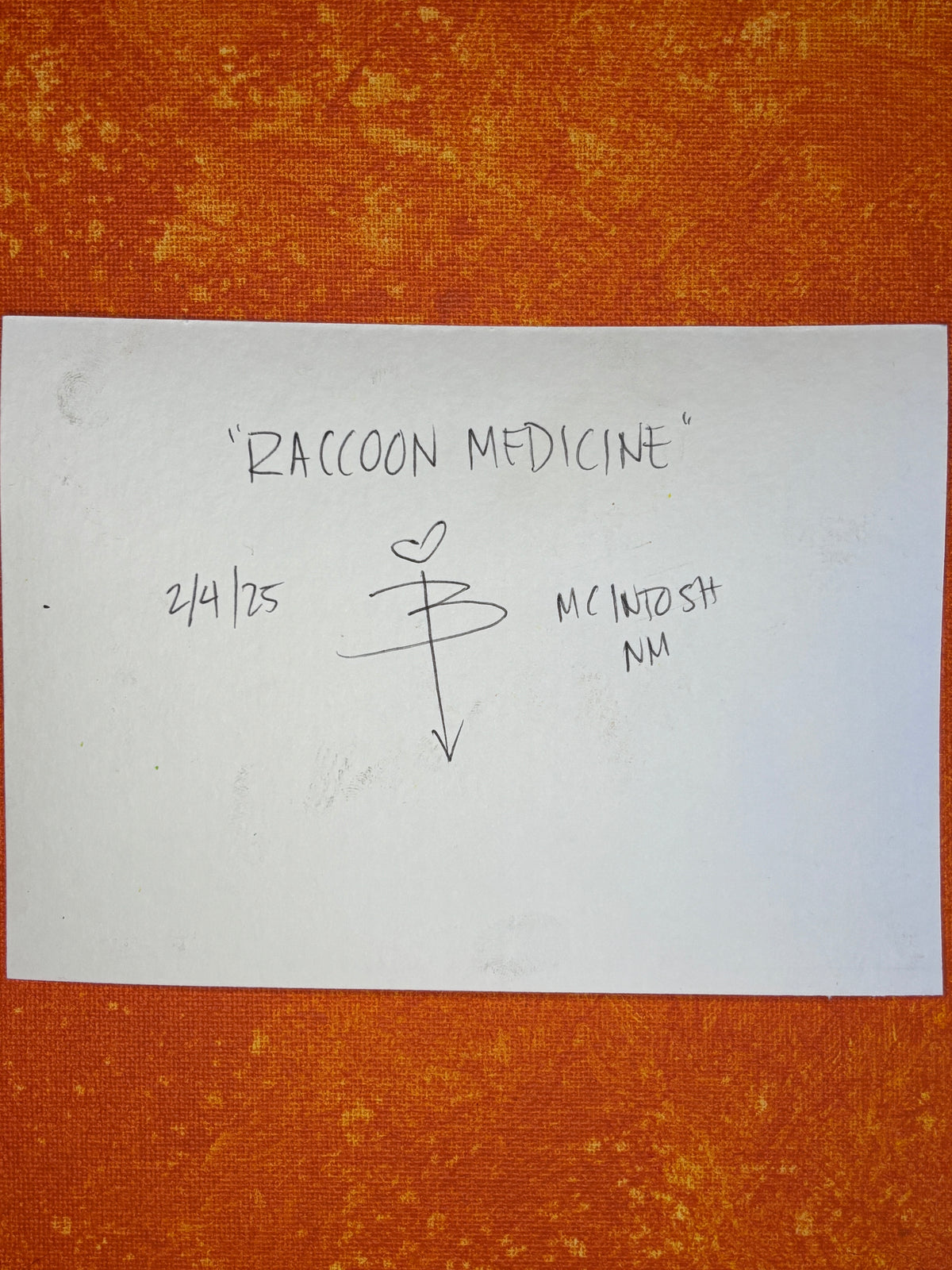 &quot;Raccoon Medicine&quot;
