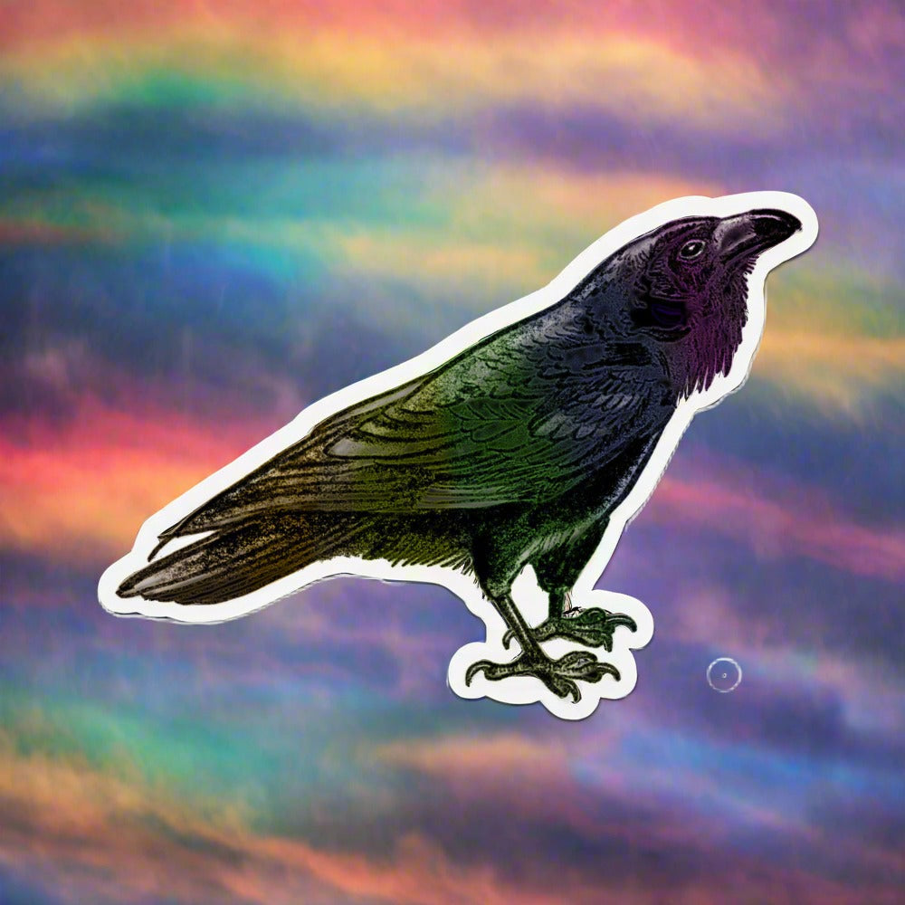 Rainbow Raven sticker